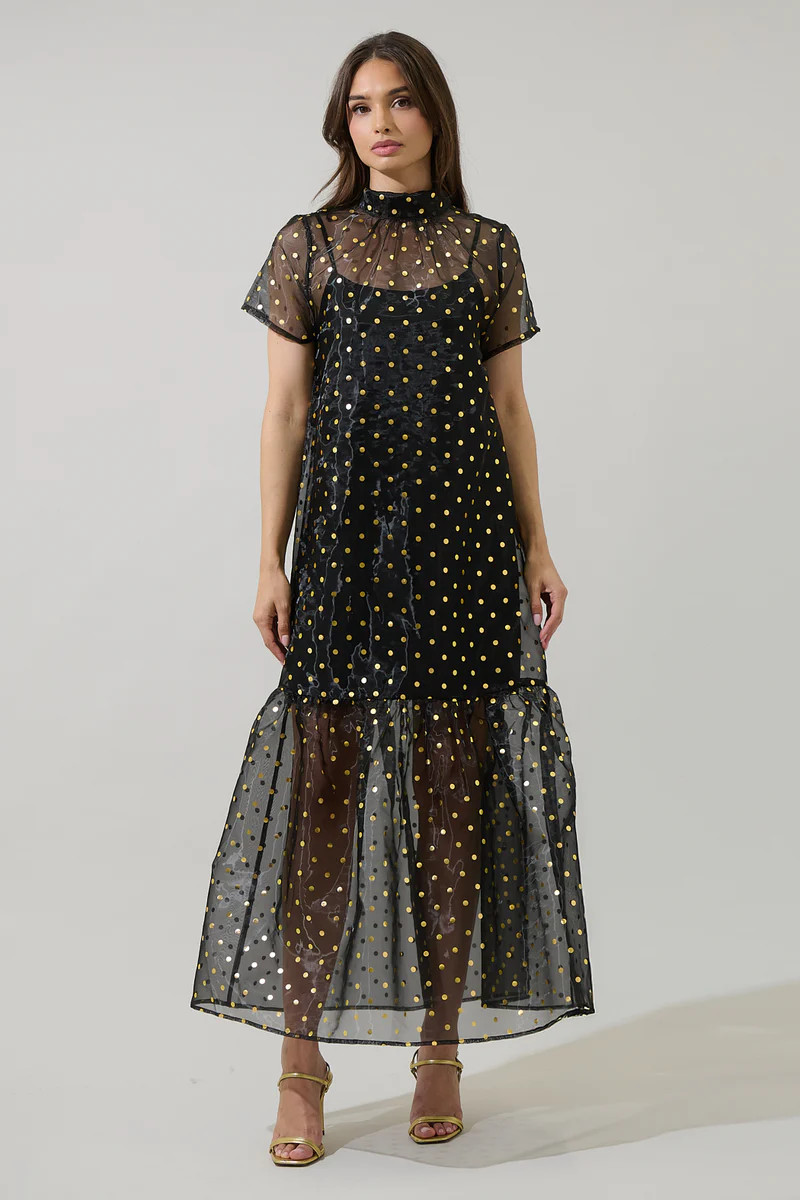 Ferris Polka Dot Dime Organza Mockneck Maxi Dress | Sugarlips