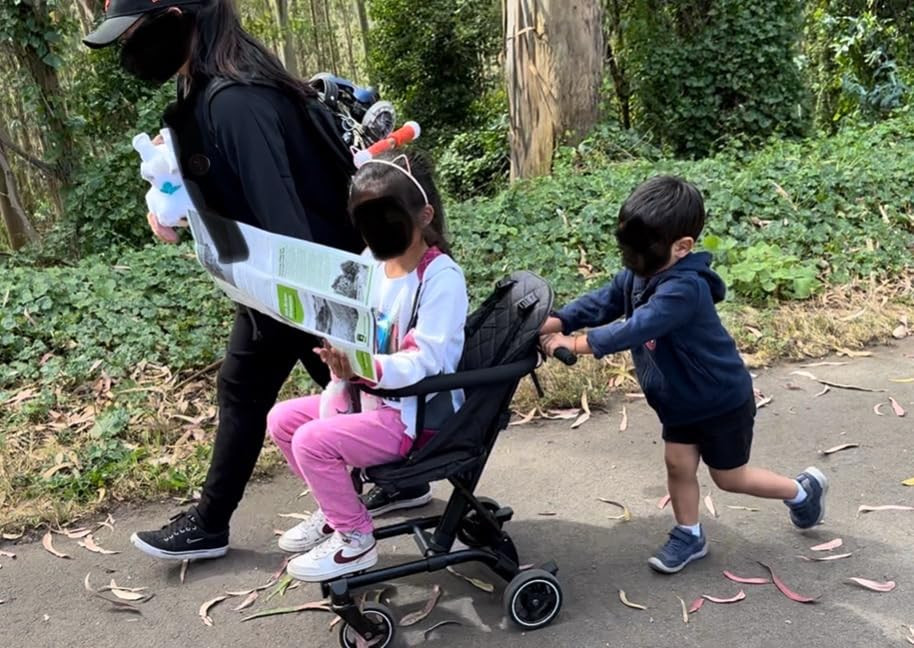 Dream On Me Coast Rider Travel Stroller, Lightweight & Compact Baby Stroller, Theme Park Approved... | Amazon (US)