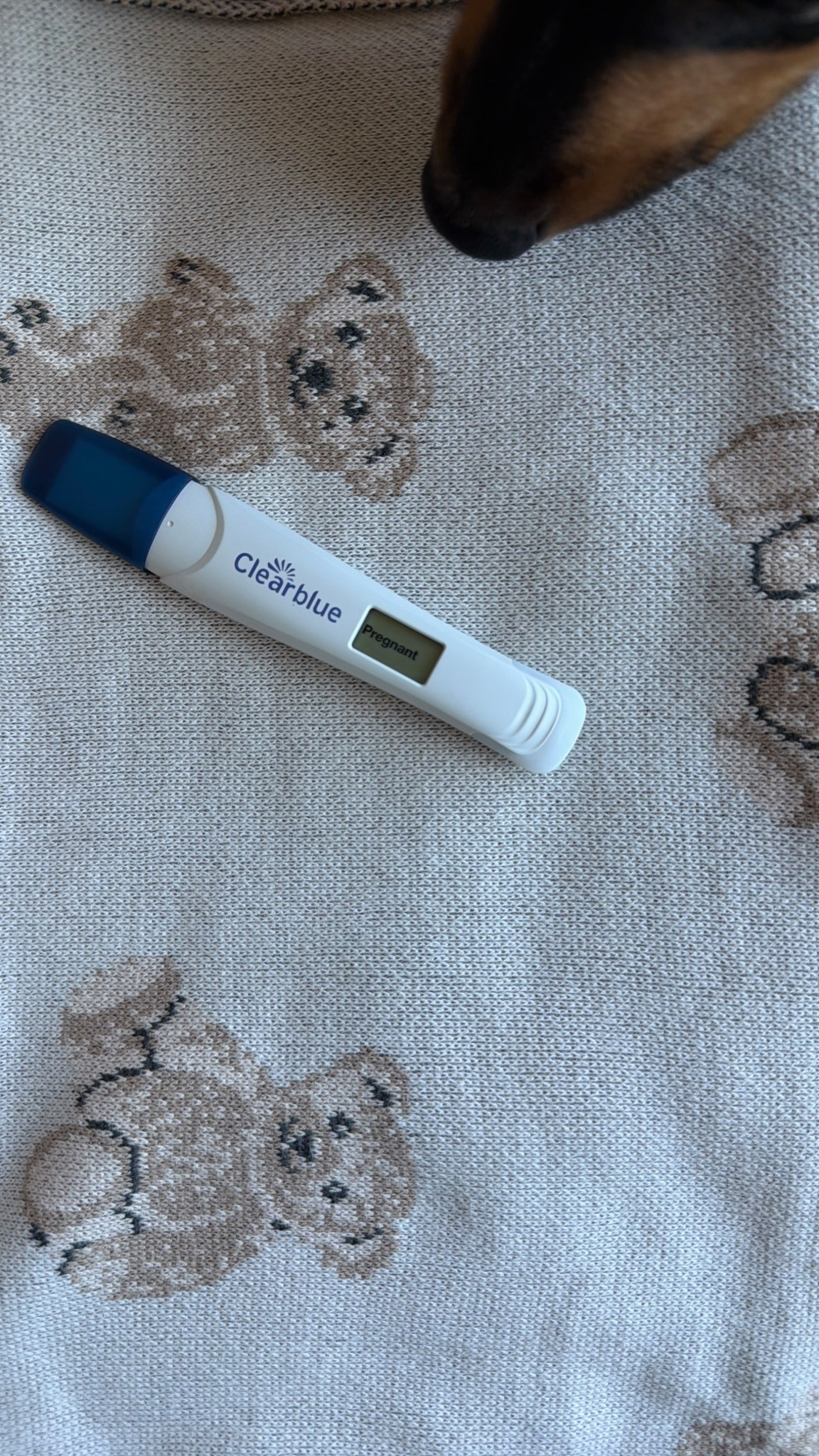 Cute little bear blanket for the nursery!

#LTKBaby #LTKBump #LTKKids