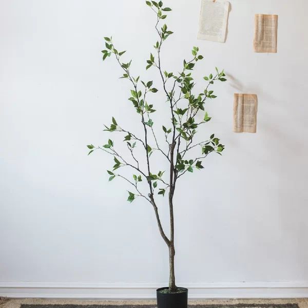 Artificial Foliage Tree in Pot | Wayfair Professional
