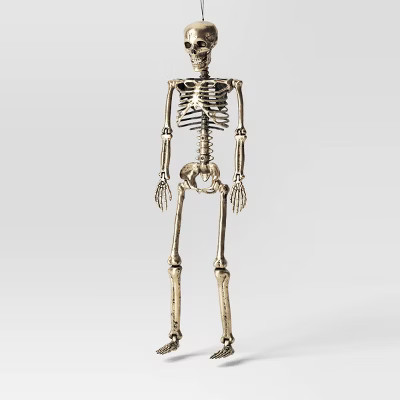 36" Posable Skeleton Halloween Decorative Prop Shiny Champagne with Weathered Finish - Hyde and E... | Target