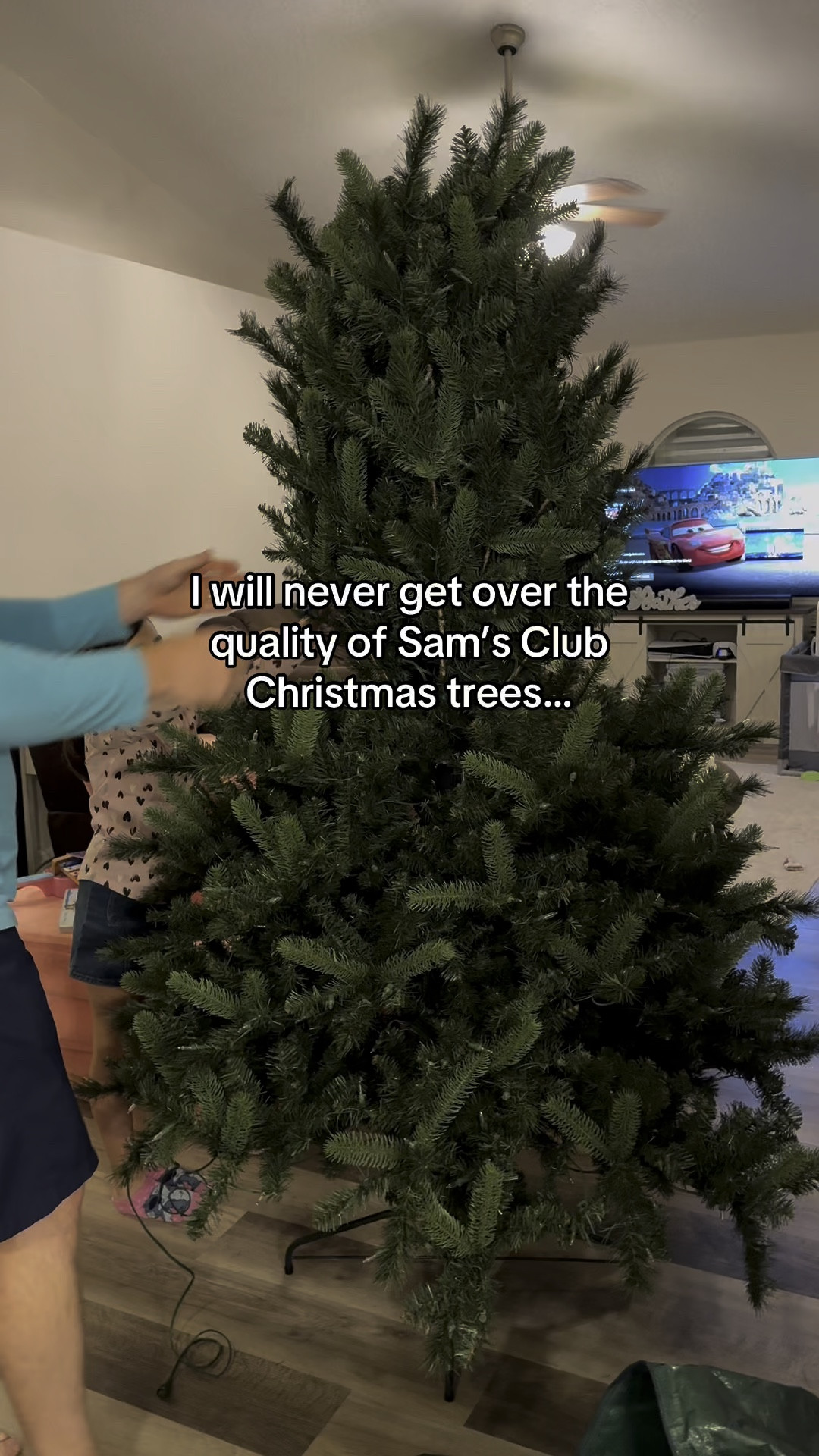 Literally comes out of the box like this. No fluffing or work needed at all. 

#LTKHoliday #LTKSeasonal #LTKHome