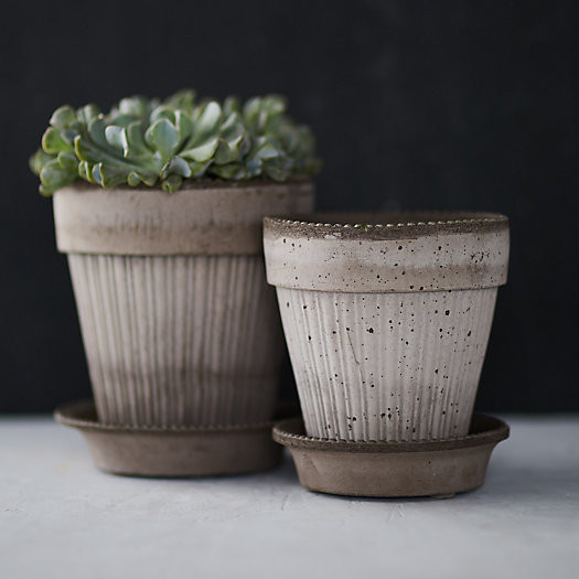 Bergs Dotted Pot + Saucer | Terrain
