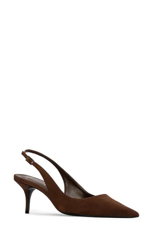 BLACK SUEDE STUDIO Alloy Pointed Toe Slingback Pump in Brown at Nordstrom, Size 12Us | Nordstrom