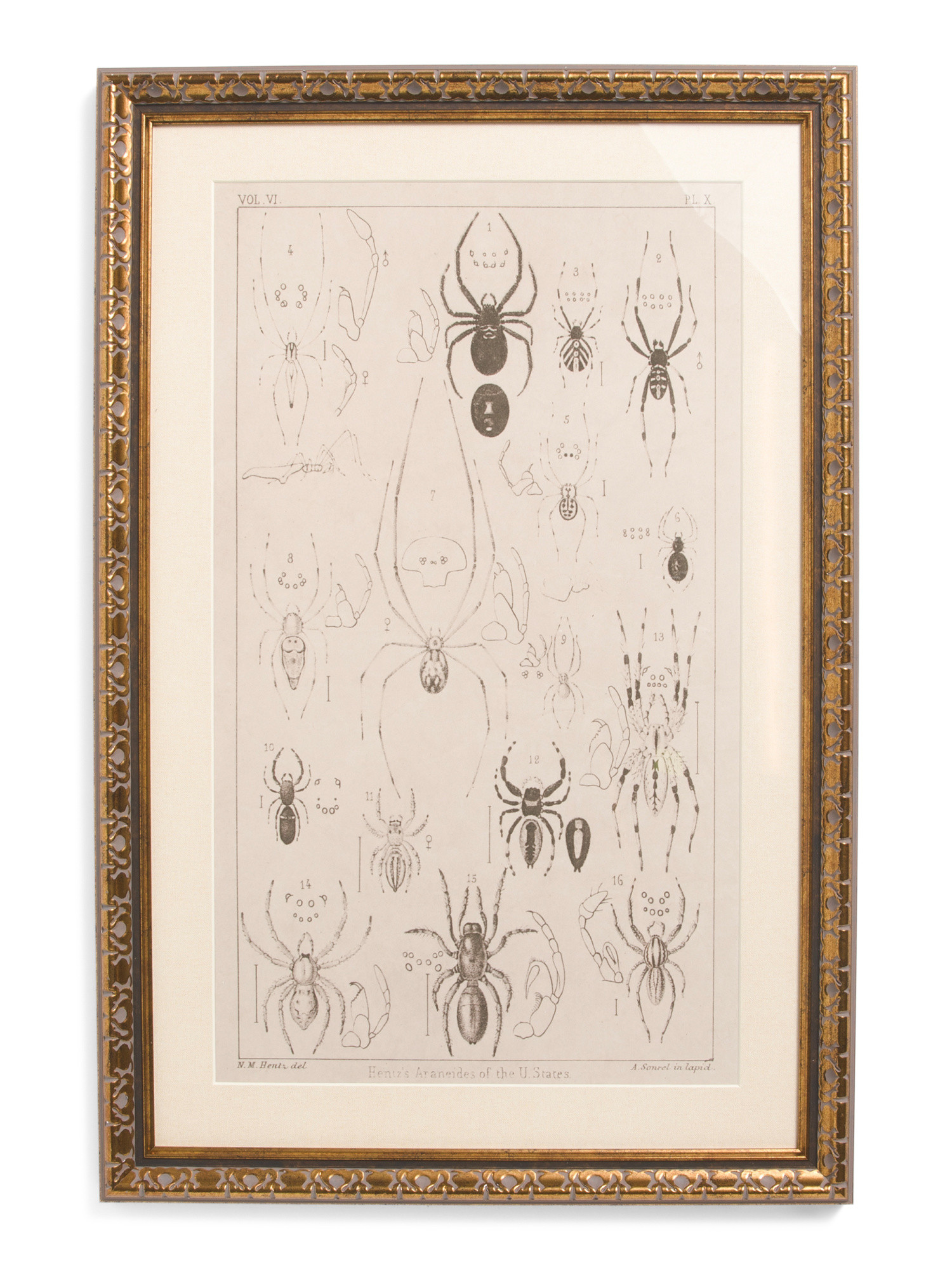 16x24 Insects Hanging Wall Art | Halloween | Marshalls | Marshalls