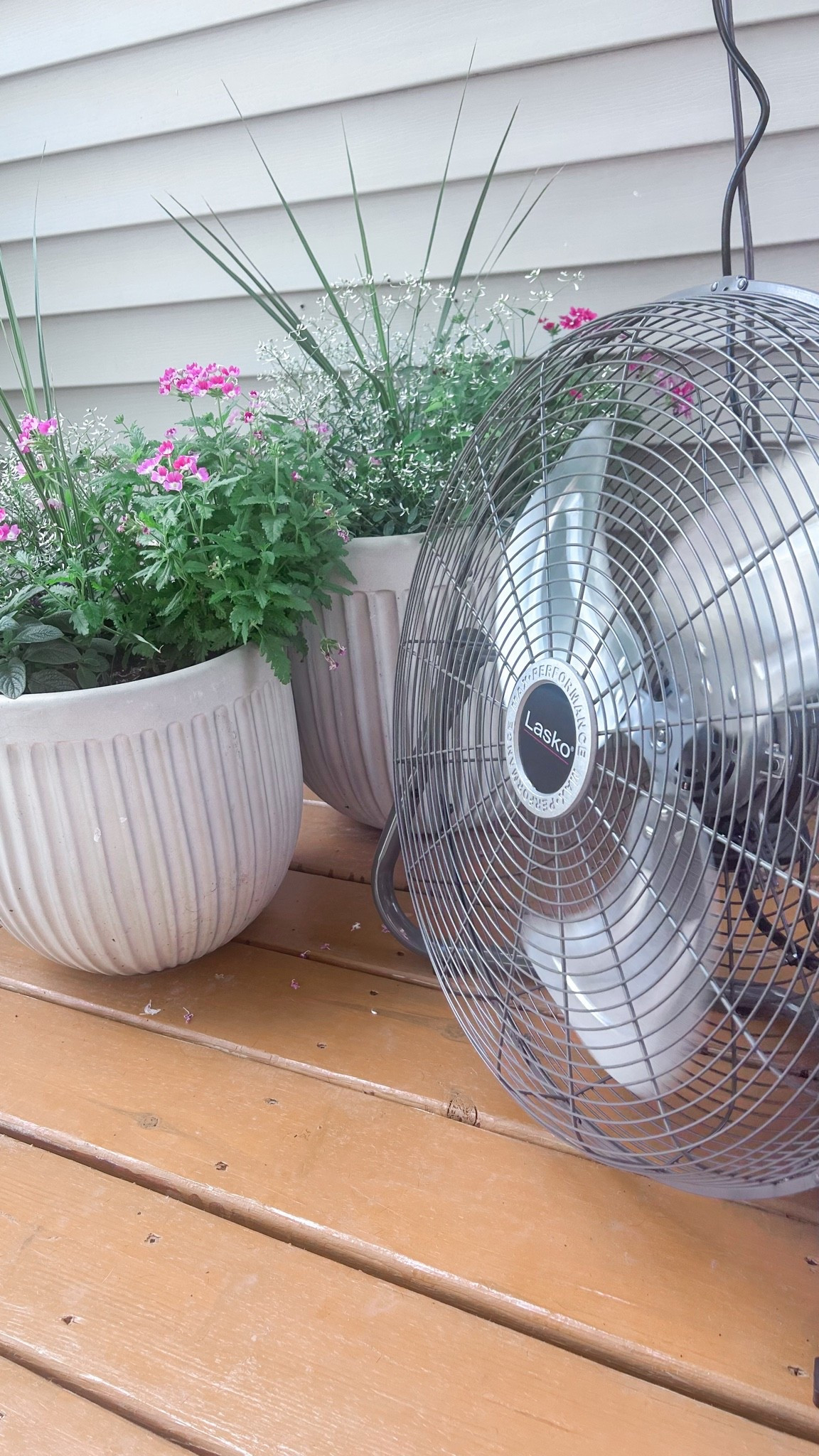 To cool off AND keep the nasty mosquitoes away 💨