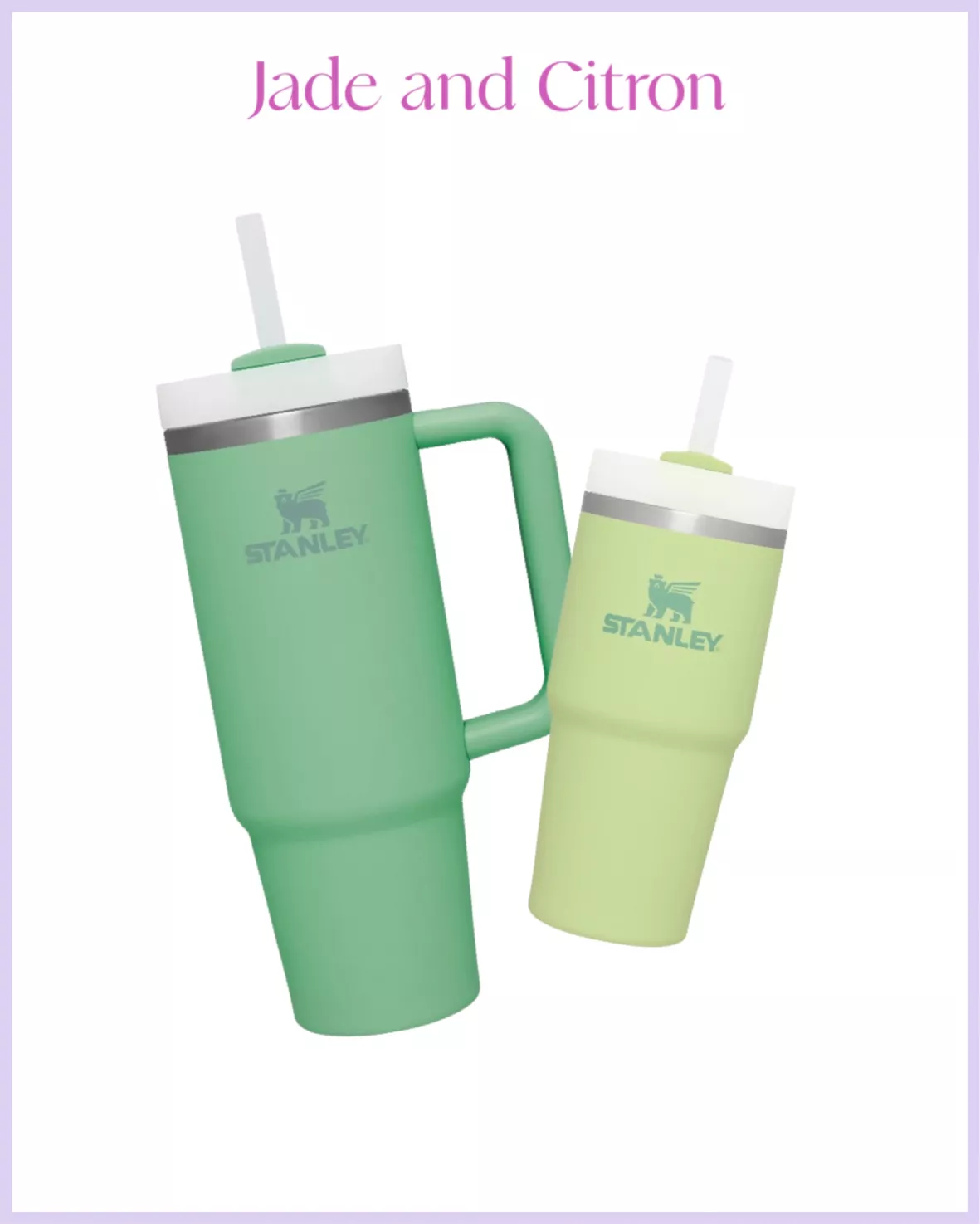 Stanley The Quencher 30 oz. H2.0 FlowState Tumbler in Jade
