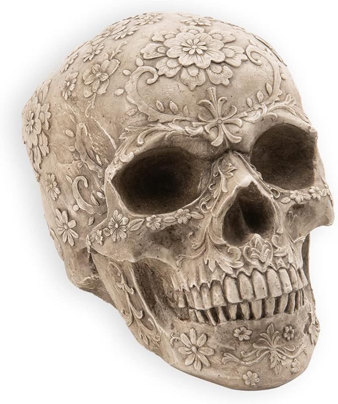 Newman House Studio Skull Head Sculptures Halloween Decorations - Skull Decor Collectible Figurin... | Amazon (US)