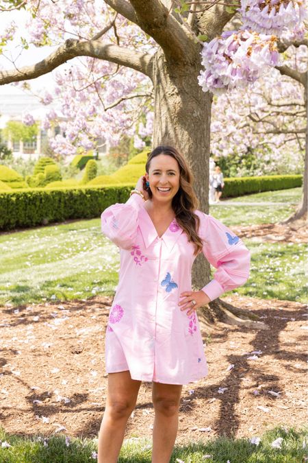 A pink shirt dress with embroidered butterflies?! It’s me in a dress! 