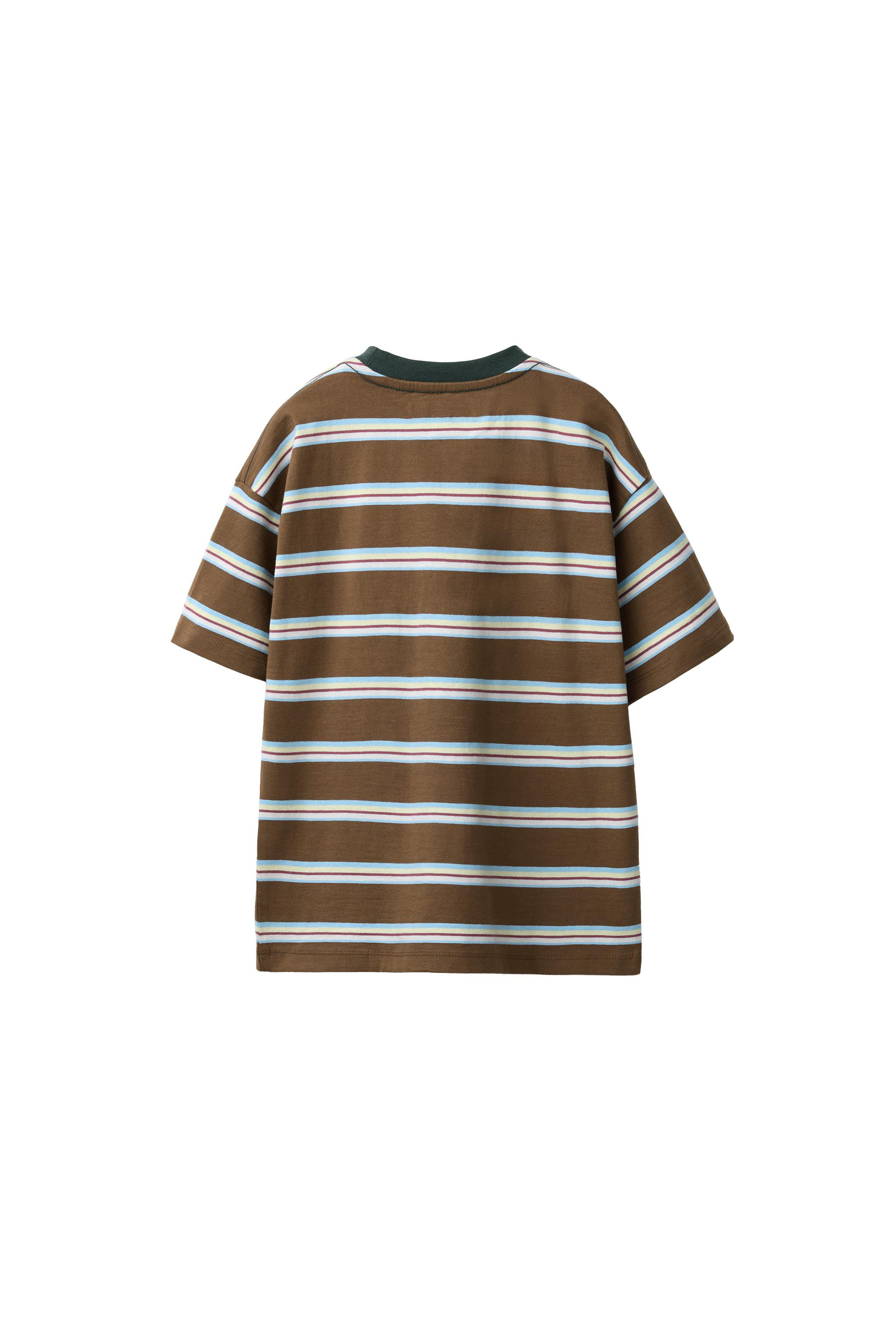 STRIPED PRINT T-SHIRT | Zara US