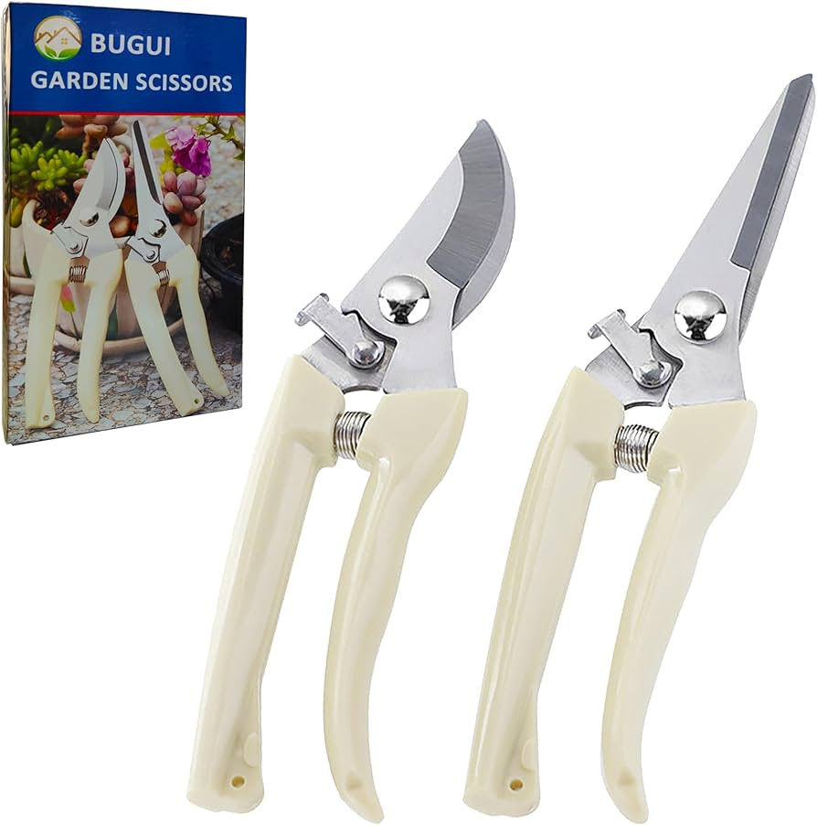 BUGUI Garden Shears Set of 2, Includes 1 Bypass Pruning Shears and 1 Straight Blade Garden Scisso... | Amazon (US)