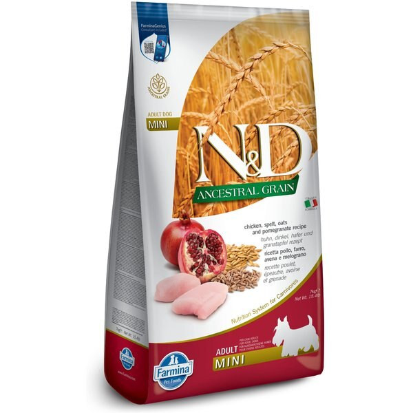 Farmina N&D Ancestral Grain Chicken & Pomegranate Recipe Adult Mini Dry Dog Food, 15.4-lb bag | Chewy.com