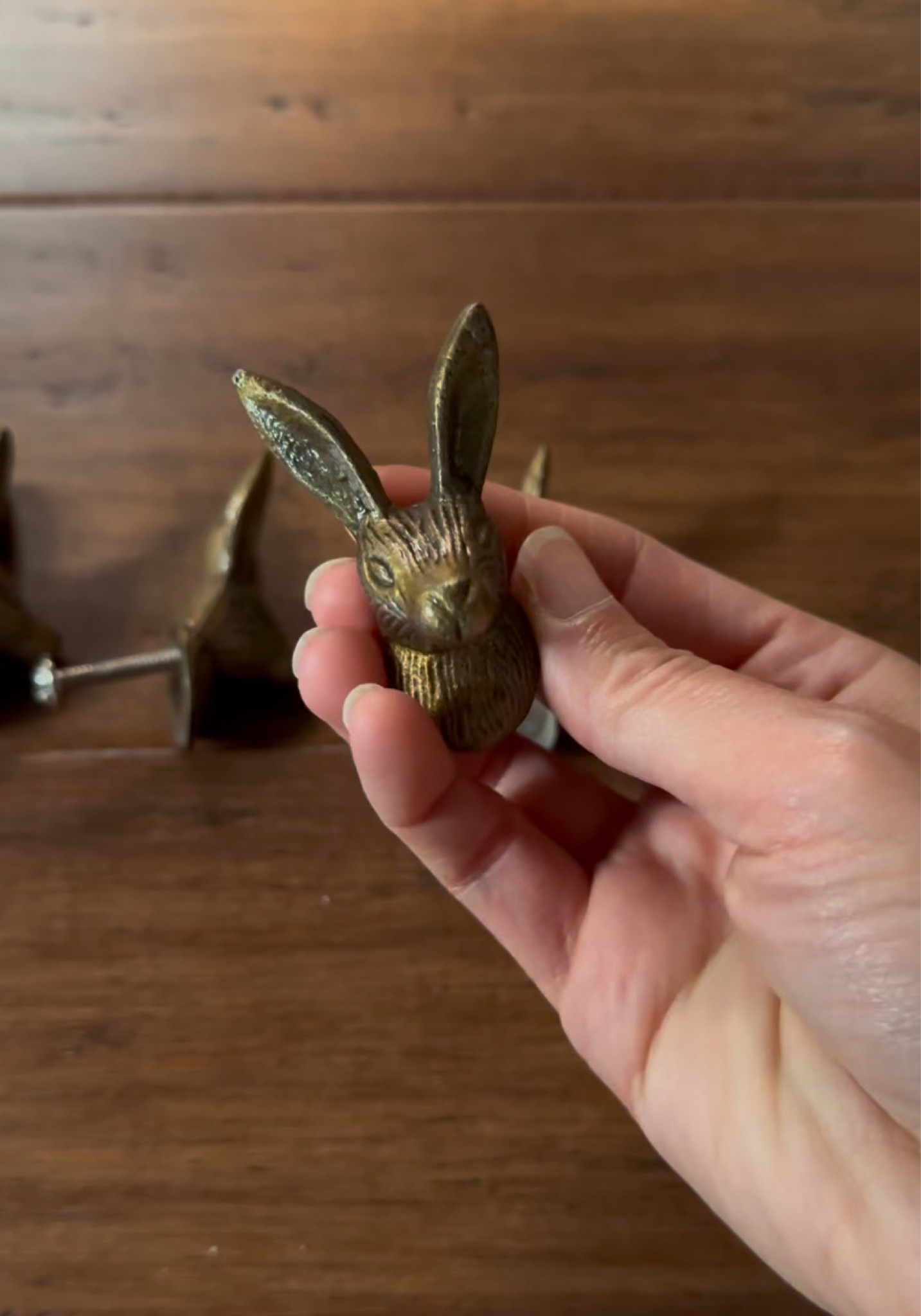 The prettiest rabbit knobs! These look like they could be straight from Anthropologie, but are so much more affordable! Love them for my romantasy room makeoverr

#LTKHome