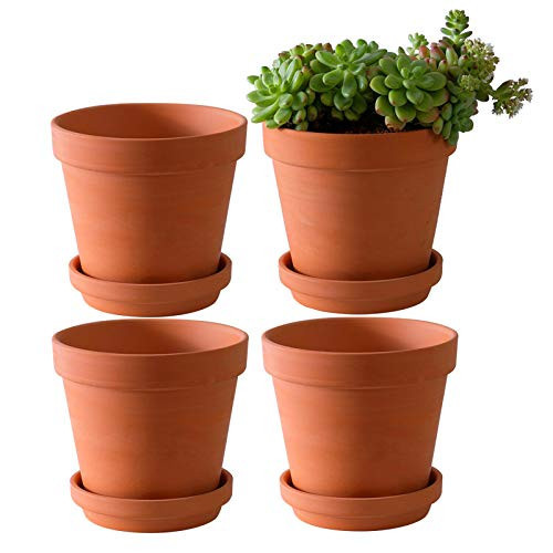 Yishang Large Terra Cotta Pots with Saucer- 4 Pack Large 6'' Terra Cotta Plant Pot with Drainage Hole, Flower Pot with Tray, Terracotta Pot for Indoor Outdoor Plant | Amazon (US)