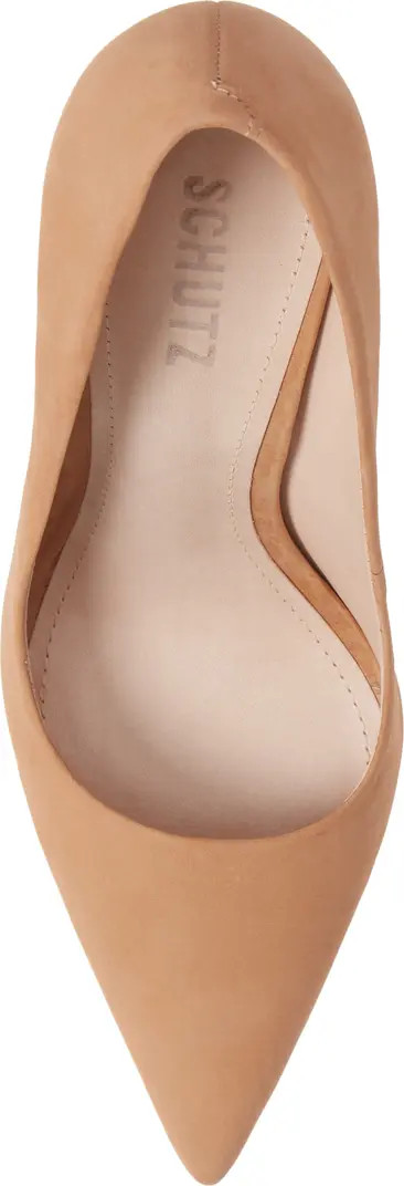 Lou Pointed Toe Pump (Women) | Nordstrom