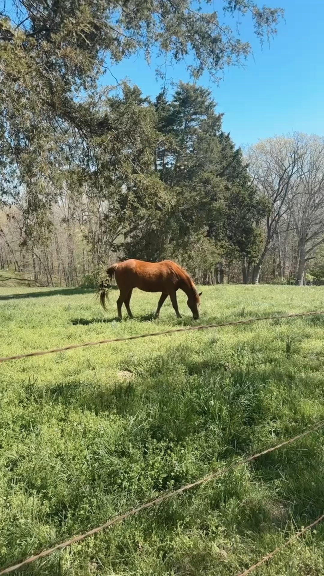 riding essentials🐴

#LTKWorkwear #LTKFamily #LTKActive