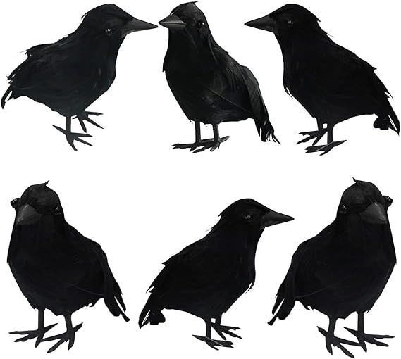 FUNPENY Halloween Black Feathered Crows, Lifelik Halloween Decoration Birds with Real Feather (6 ... | Amazon (US)