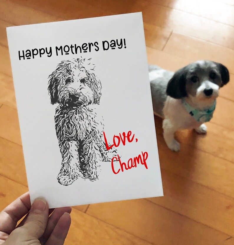 Doodle Mom Birthday Card- Mothers Day Card- From Dog- Labradoodle- Goldendoodle- Bernedoodle- Who... | Etsy (US)