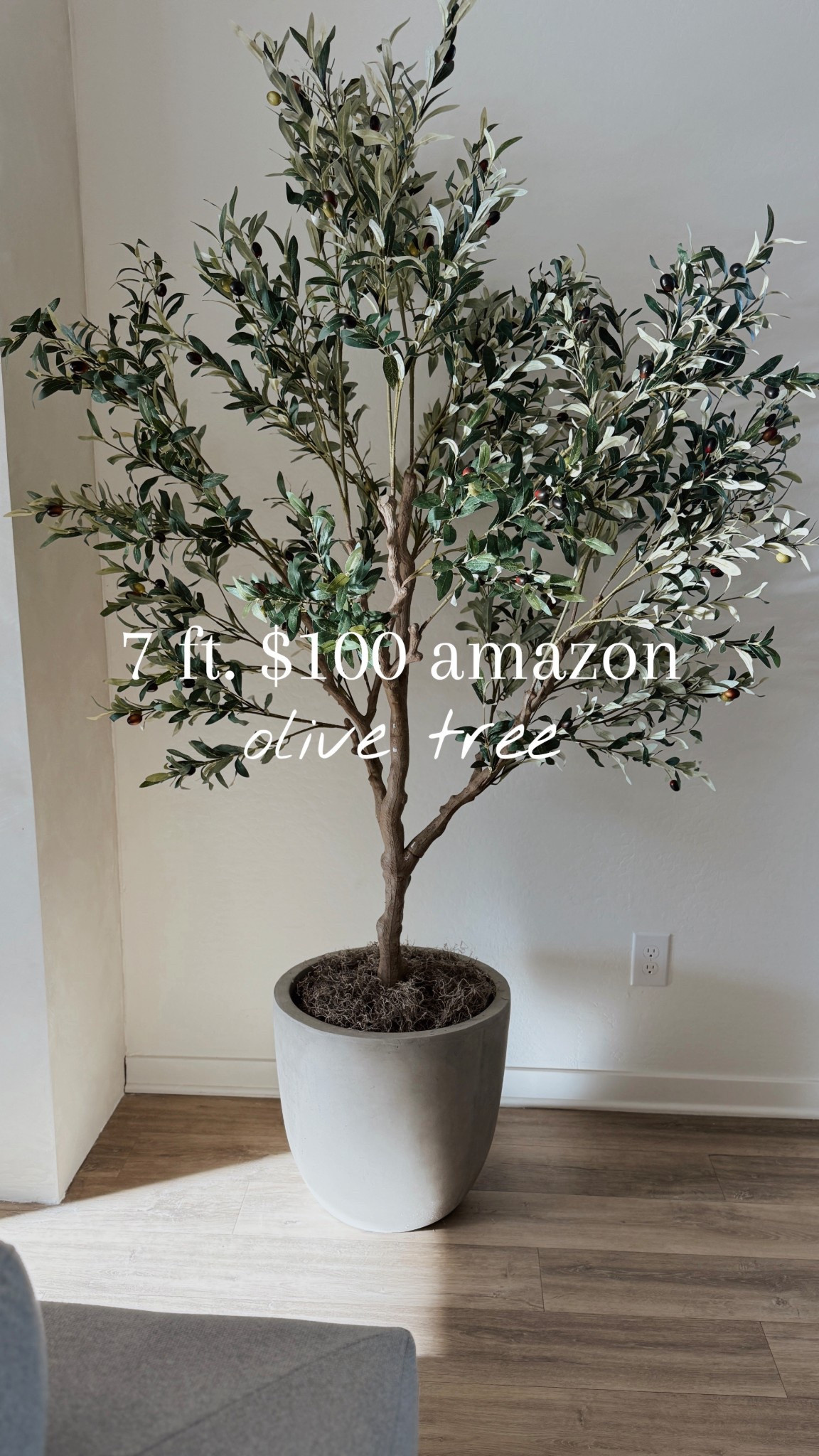 Amazon olive tree, faux tree, amazon finds, affordable home finds 

#LTKFindsUnder100 #LTKSaleAlert #LTKHome