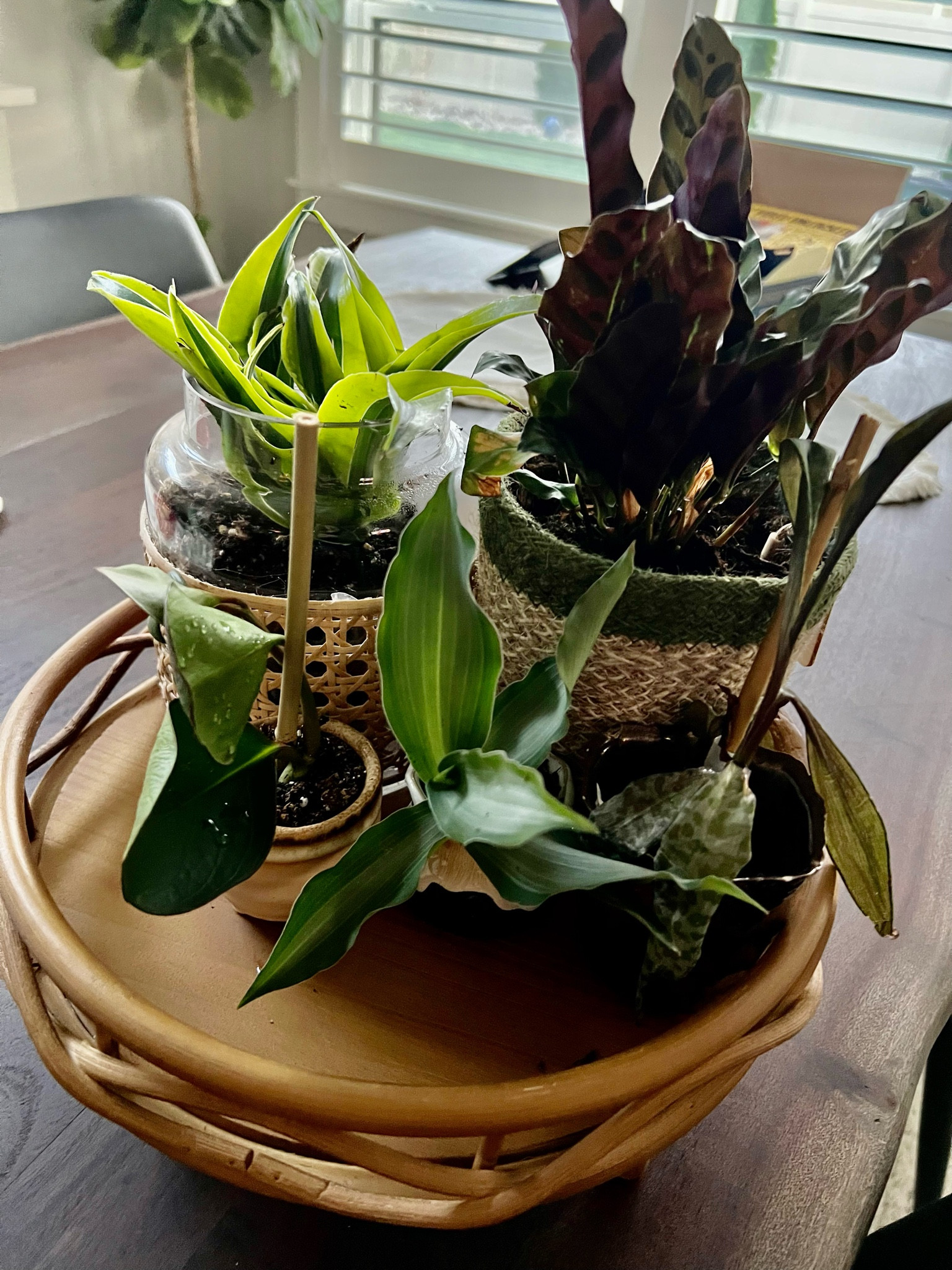 Bamboo Boho Plant Stand. From @walmart  

#LTKhome #LTKunder50 #LTKSeasonal