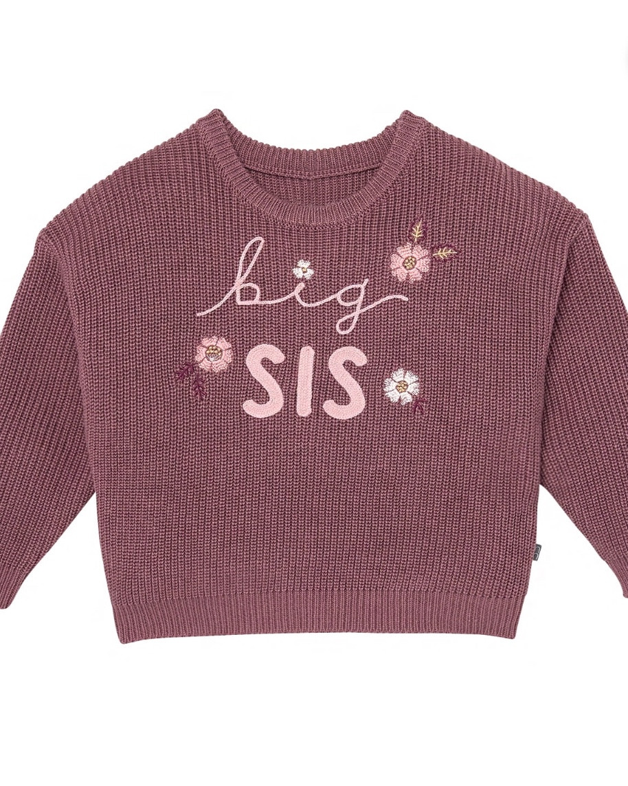 Big brother & sister sweaters at Walmart

#LTKBaby #LTKSeasonal #LTKKids