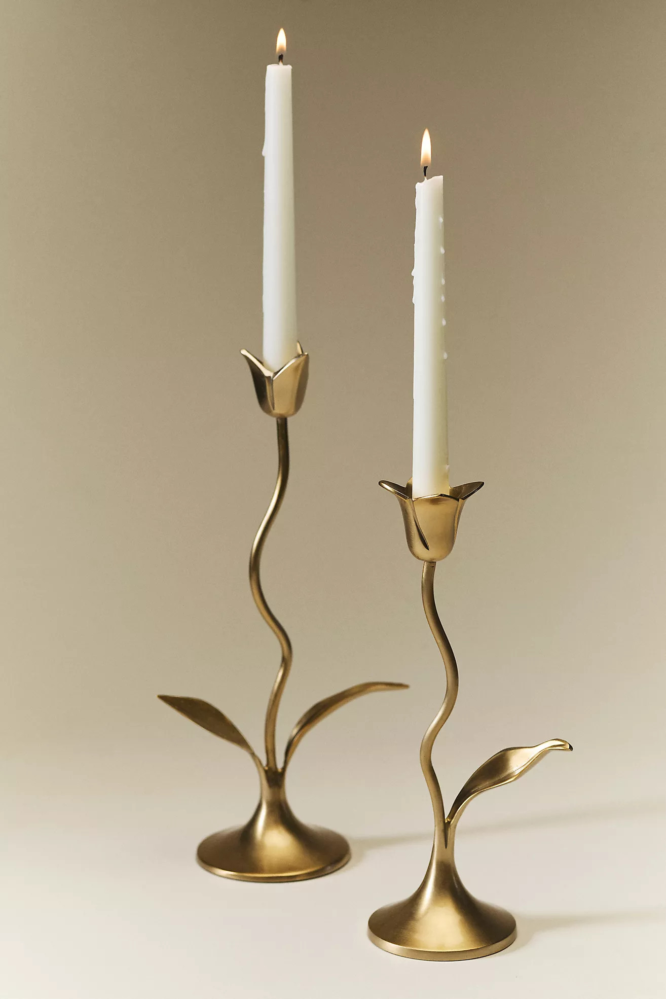 Emilia Tulip Candle Holder | Anthropologie (US)