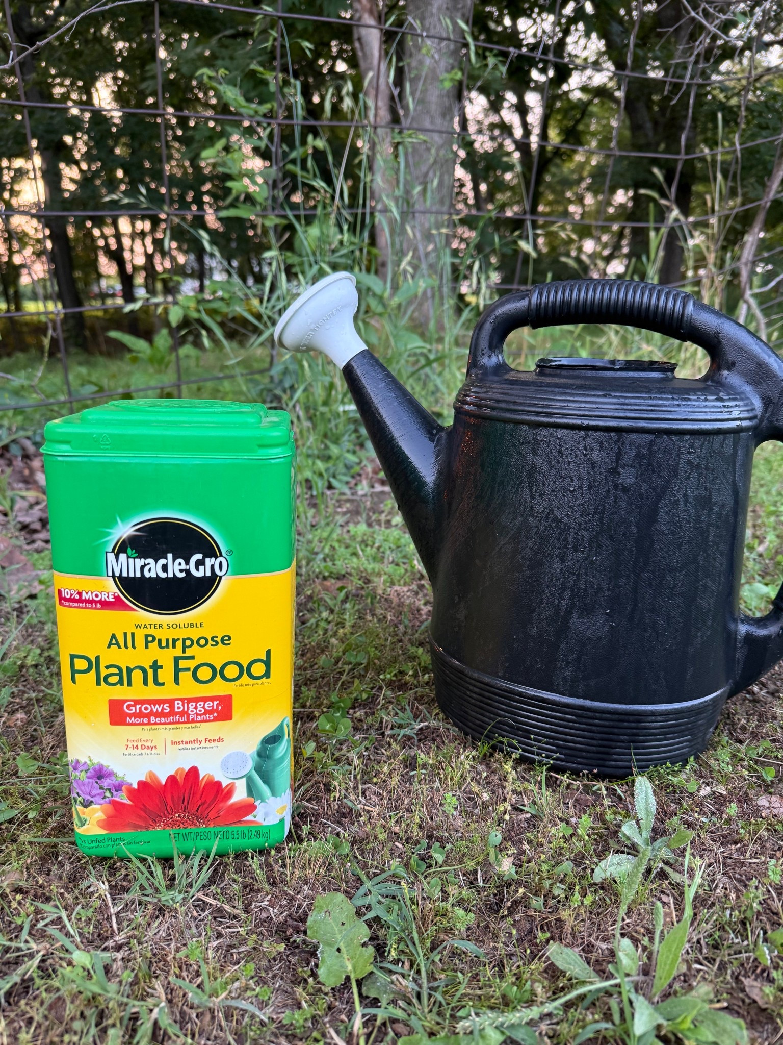 All of my plant babies got some plant food this evening. I have tried several different plant foods & this one is my favorite. 

#LTKSeasonal #LTKSummerEdit