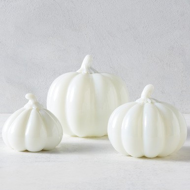 Della Pumpkin | Z Gallerie