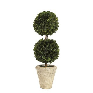 Preserved Boxwood Topiary | Ballard Designs, Inc.