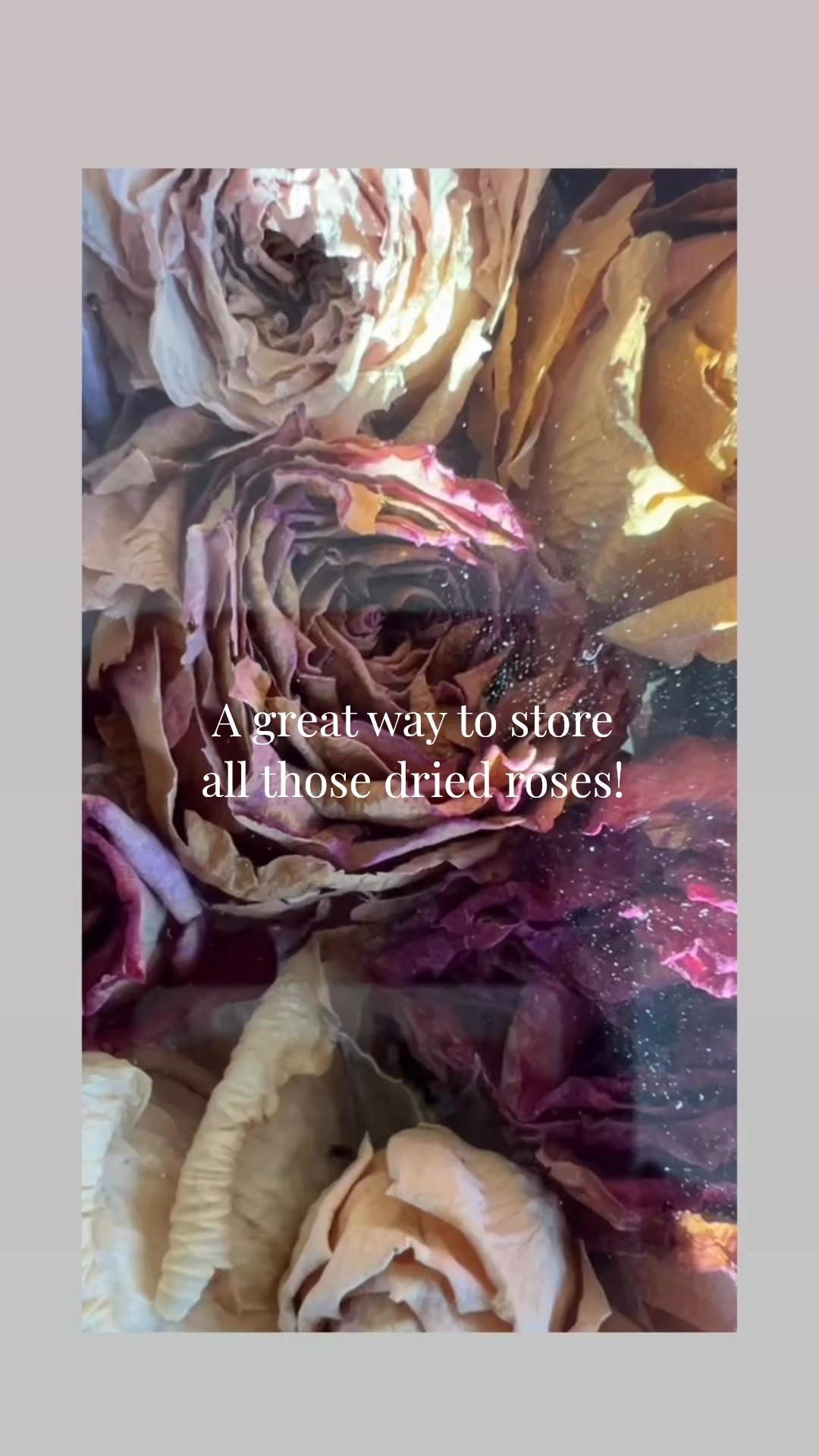 Always sad when flowers die?  Want to keep sentimental roses?  Perfect way to display them and not collect dust! #driedroses #driedflowers #flowerart #sentimental #valentinesgift

#LTKSeasonal #LTKHome #LTKValentine