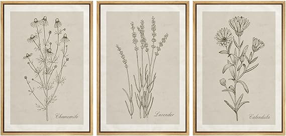 SIGNFORD Framed Canvas Print Wall Art Set Retro Vintage Antique Garden Wildflowers Nature Wildern... | Amazon (CA)
