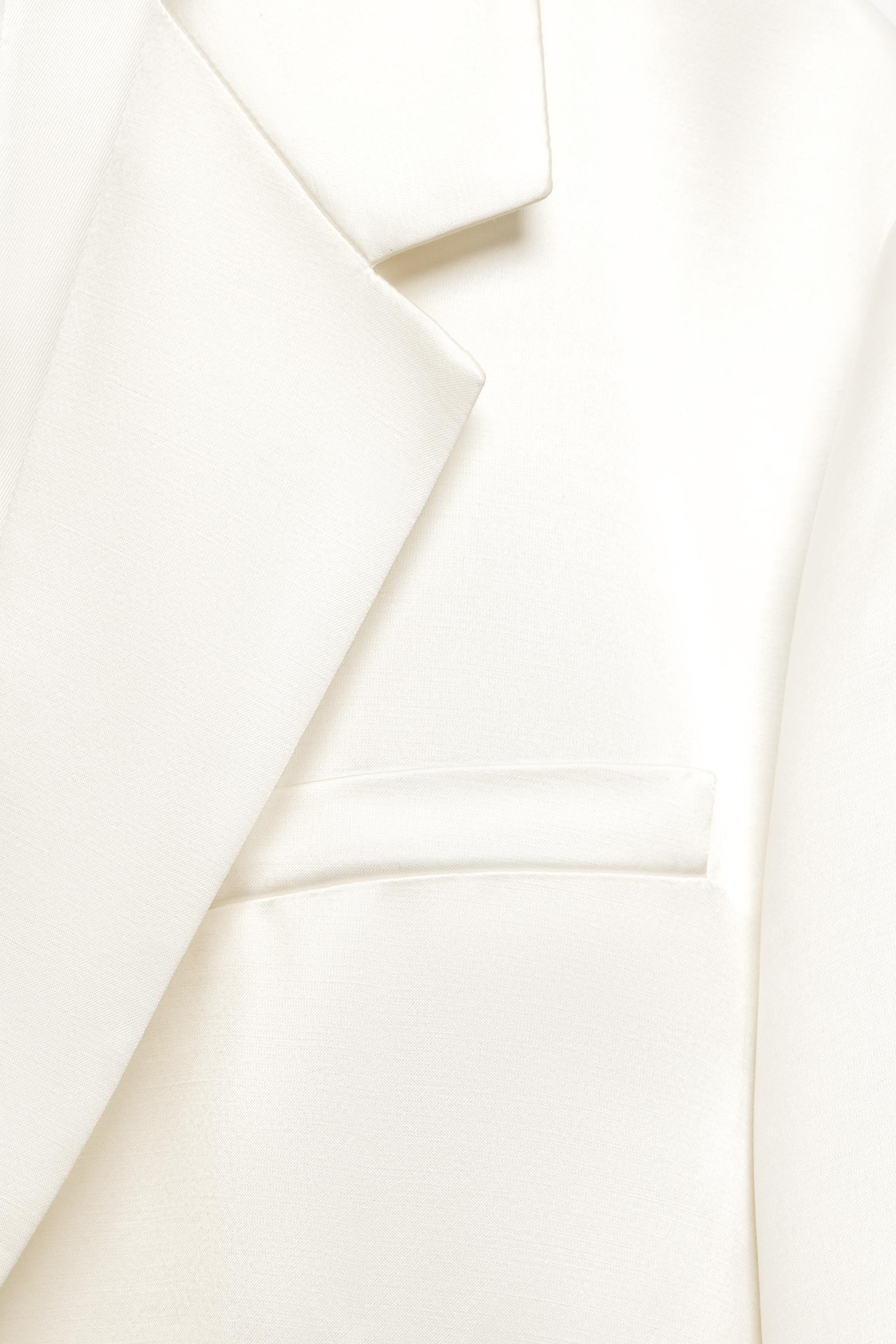 BLAZER IN SATINOPTIK LUDOVIC DE SAINT SERNIN x ZARA | Zara DE