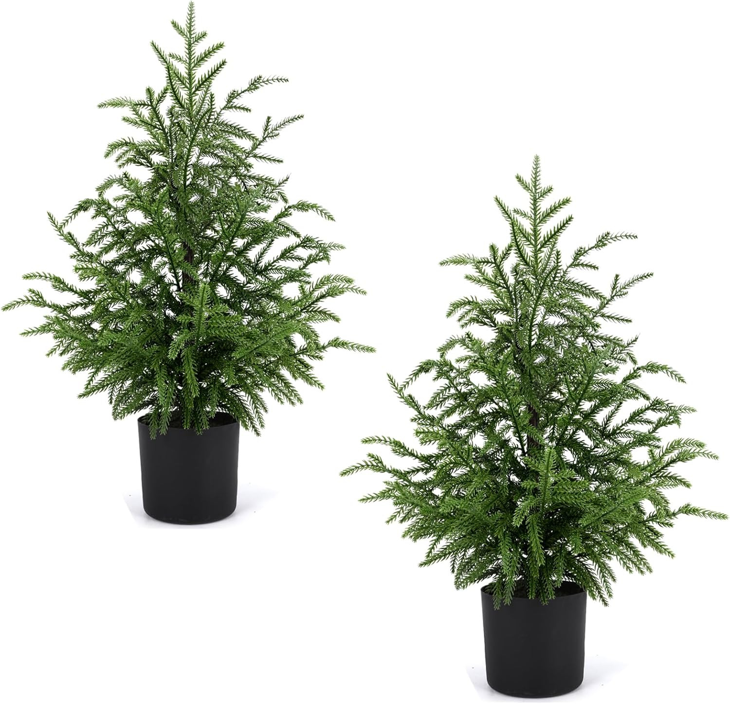 2 Pack 24" Artificial Norfolk Pine Potted Trees – Realistic Faux Christmas Greenery for Tableto... | Amazon (US)