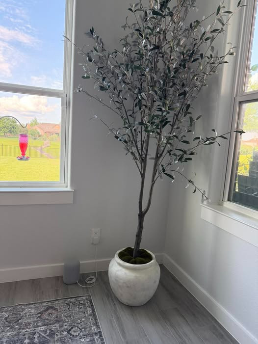 This faux tree might be one of my FAVORITE home upgrades lately 😍
It makes the whole room feel taller, brighter, and designer without even trying 🙌 The olive tones + oversized look are SO good 🌿

One of those pieces that instantly makes your home feel styled ✨

#LTKhome #HomeDecor #OliveTree #NeutralHome #DesignerLookForLess #CoastalStyle #HomeInspo #ModernHome 

 