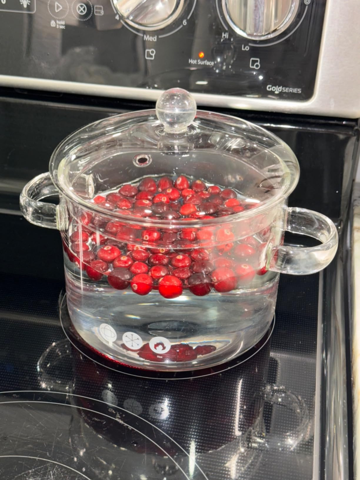 Simmer Pot | Amazon (US)