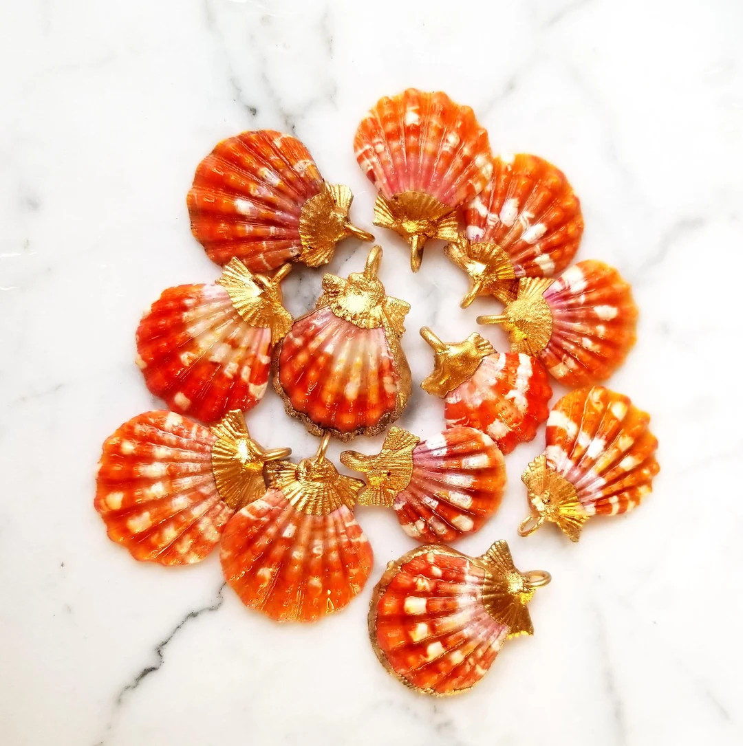 24kt Gold Dipped Rare Red Orange Sunrise Hawaii Seashell Necklace shark tooth hawaii jewelry tahi... | Etsy (US)
