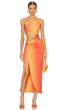 Isabel Dress in Gradient Print | Revolve Clothing (Global)