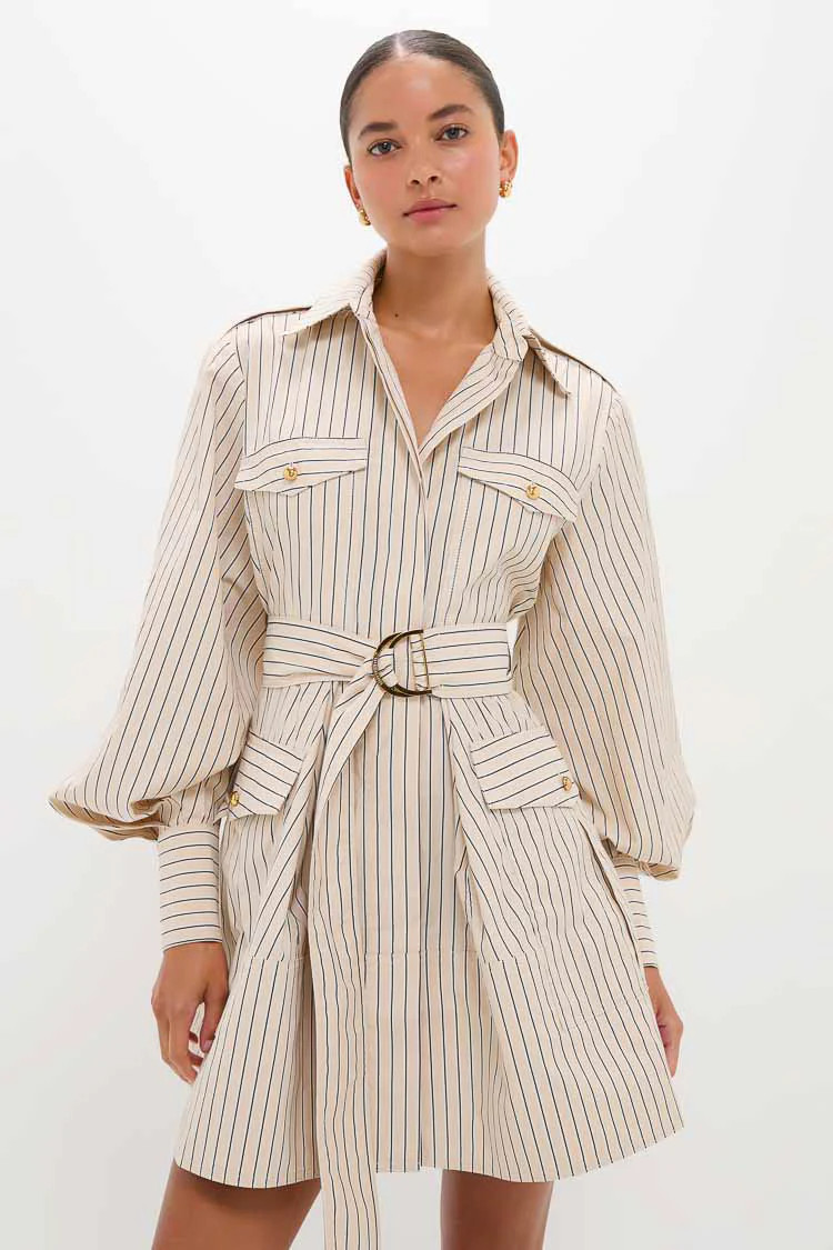 Almond Stripe Memento Utility Mini Dress | Tuckernuck (US)