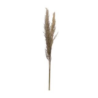 Dried Natural Pampas Grass Bunch | Michaels | Michaels Stores