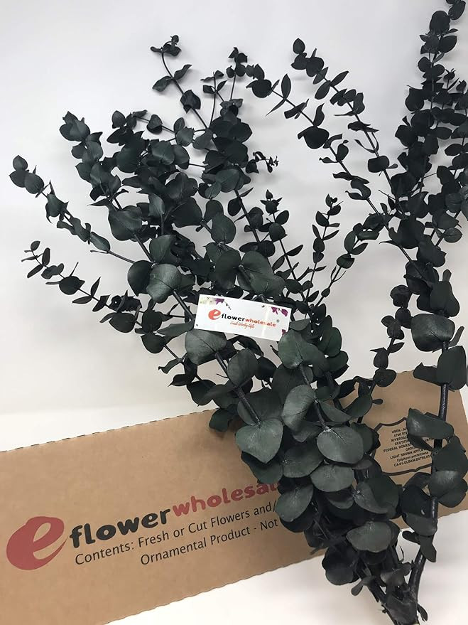 eflowerwholesale Preserved Fresh Eucalyptus Green | Amazon (US)