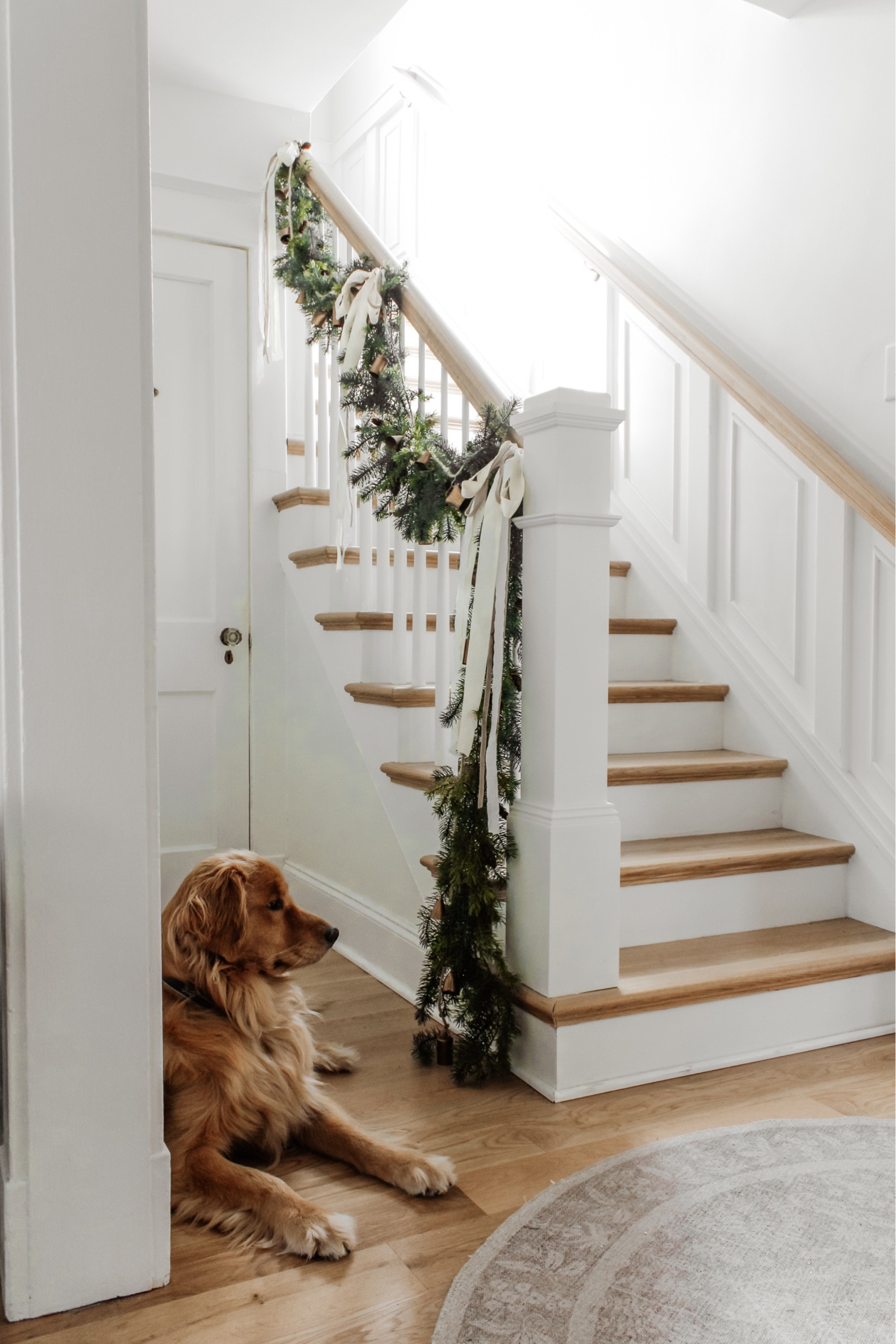 Looking forward to a weekend at home ✨ This week’s affordable finds feature a mix of holiday, decorative accents & furniture to complete any space! Easily shop from the link in bio. Ps: my garland is 40% off, too!
•
Shop my entire holiday home, the holiday shop and much more from the link in bio too. Message me with any questions!
•
•
•

Christmas garland, holiday garland, affordable garland, afloral garland, pine garland, bell garland, holiday bows, neutral Christmas, Christmas decor, holiday home, holiday home tour, long bows, Christmas decorations, realistic garland 

#LTKSeasonal #LTKHoliday #LTKhome