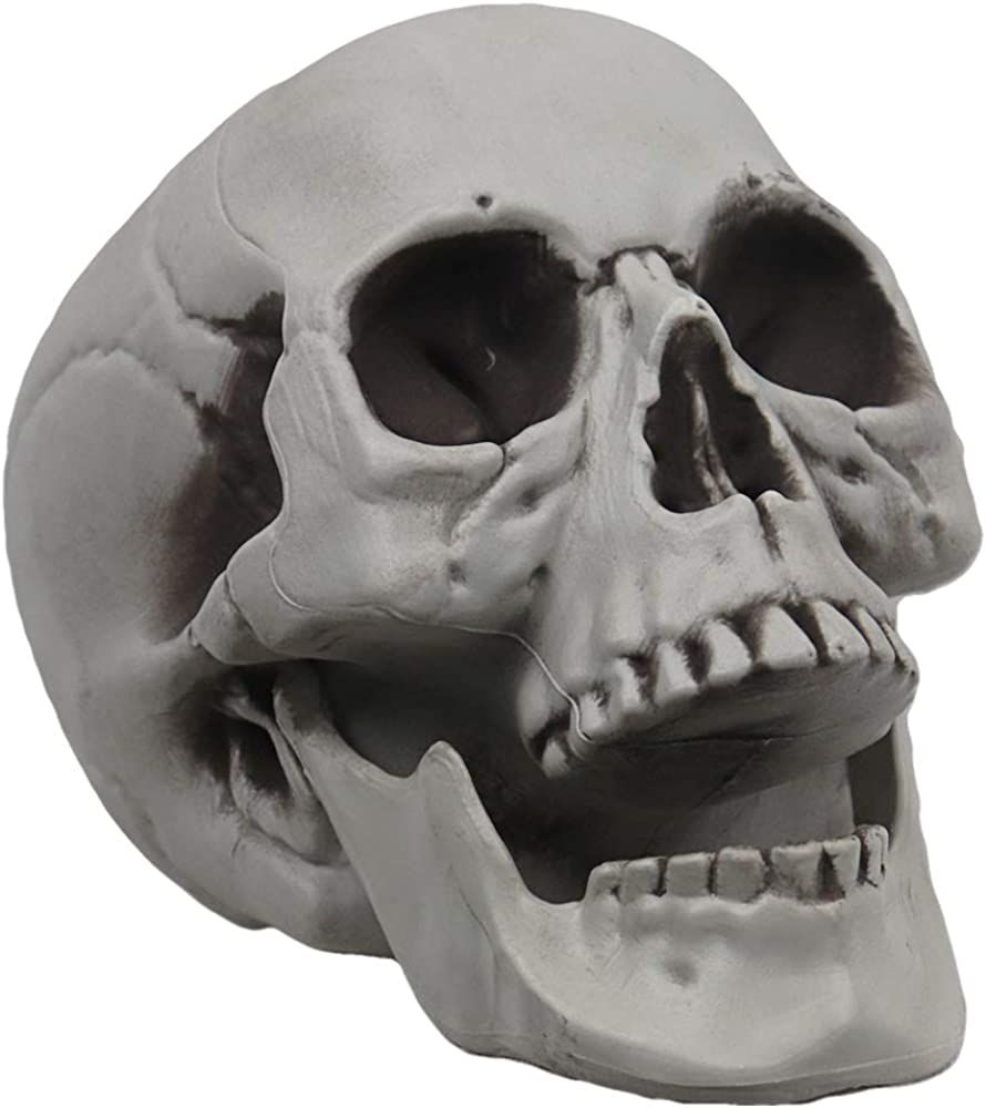 MOKRY PARTY Life Size Skeleton Skull for Halloween Decor Graveyard Outdoor White | Amazon (US)
