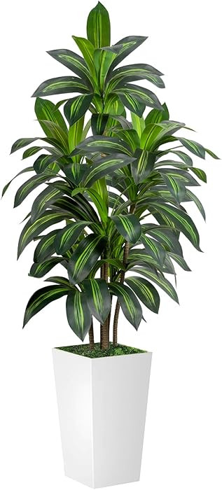 Dracaena Tree 5FT Artificial, 60in Tall Faux Dracaena Tree with 15.7 White Planter, Fake Potted T... | Amazon (US)