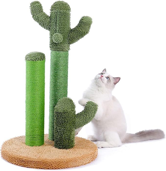 PAWZ Road Cat Scratching Post Cactus Cat Scratcher Featuring with 3 Scratching Poles and Interact... | Amazon (US)