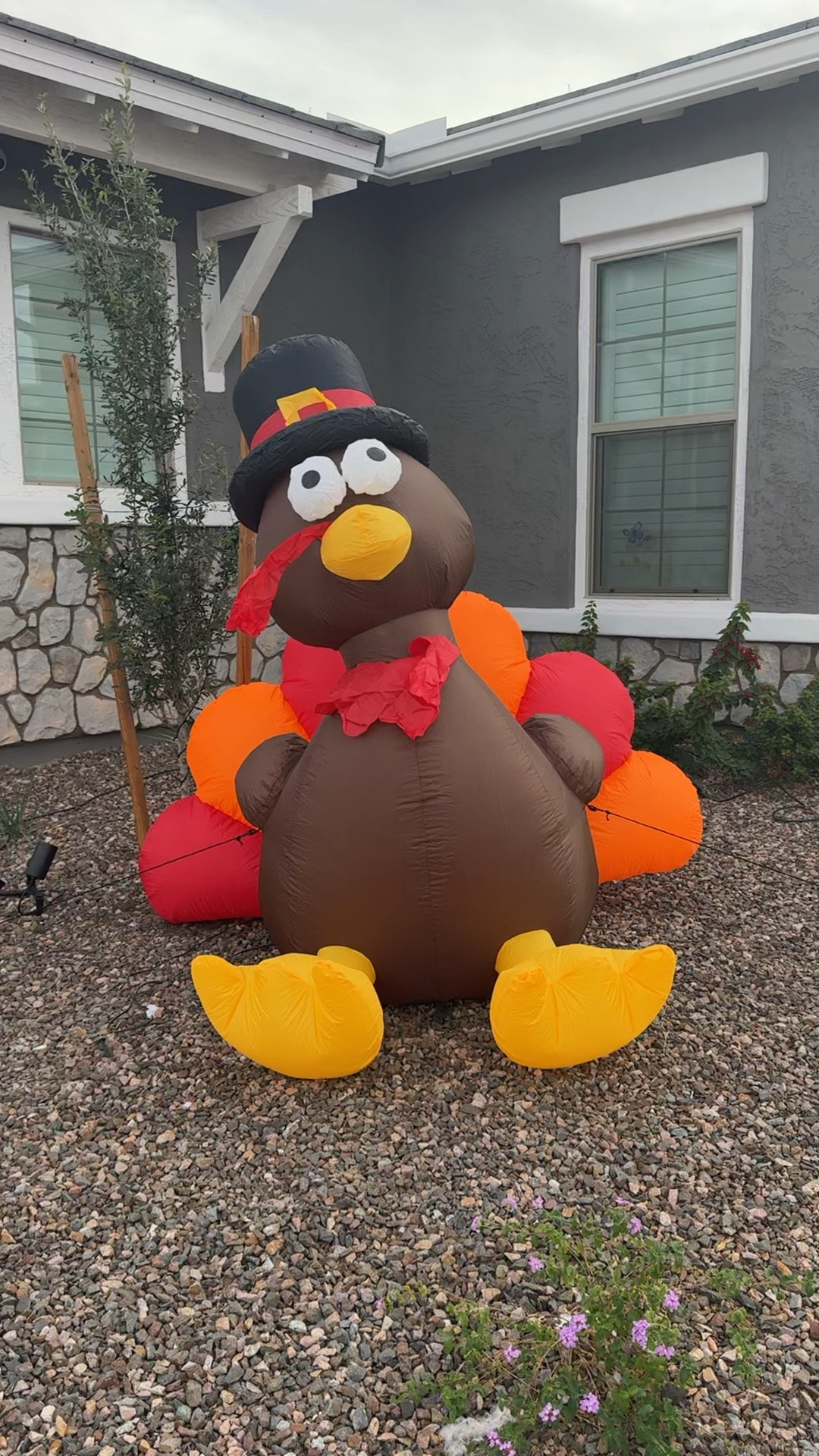 The cutest 6ft inflatable turkey! Ships super quickly! 

#LTKSeasonal #LTKVideo #LTKHome