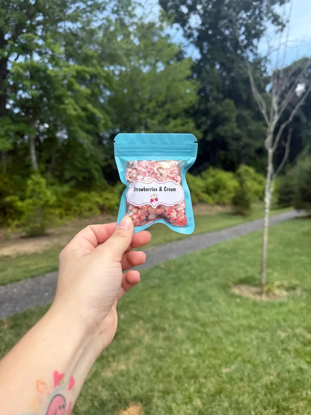 Strawberries & Cream- Hermit Crab Popcorn - Healthy Snacks - Hermit Crab Food | Etsy (US)
