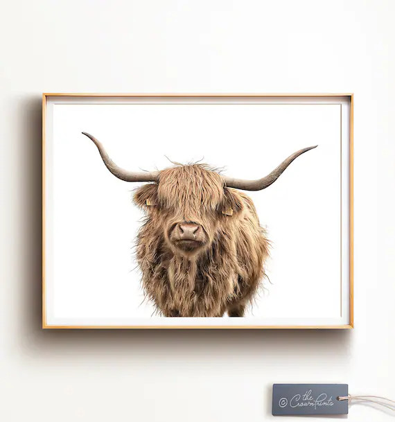 Highland Cow Print, DIGITAL DOWNLOAD, Modern farmhouse wall decor, Horizontal art, Livestock prin... | Etsy (US)