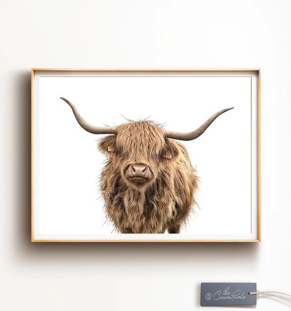Highland Cow Print, DIGITAL DOWNLOAD, Modern farmhouse wall decor, Horizontal art, Livestock prin... | Etsy (US)