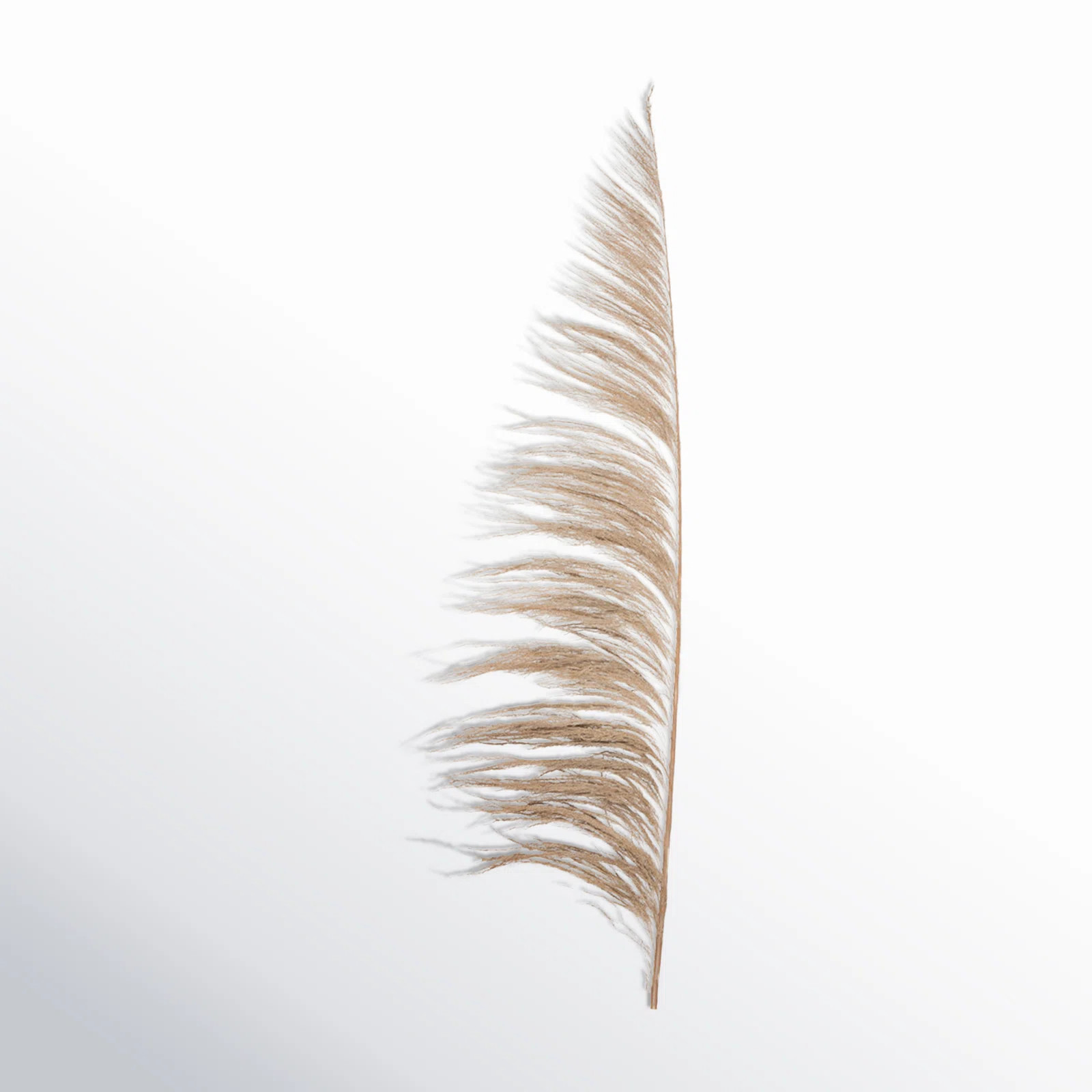 AllModern Lei 60-72" Uva Palm Spray & Reviews | Wayfair | Wayfair North America