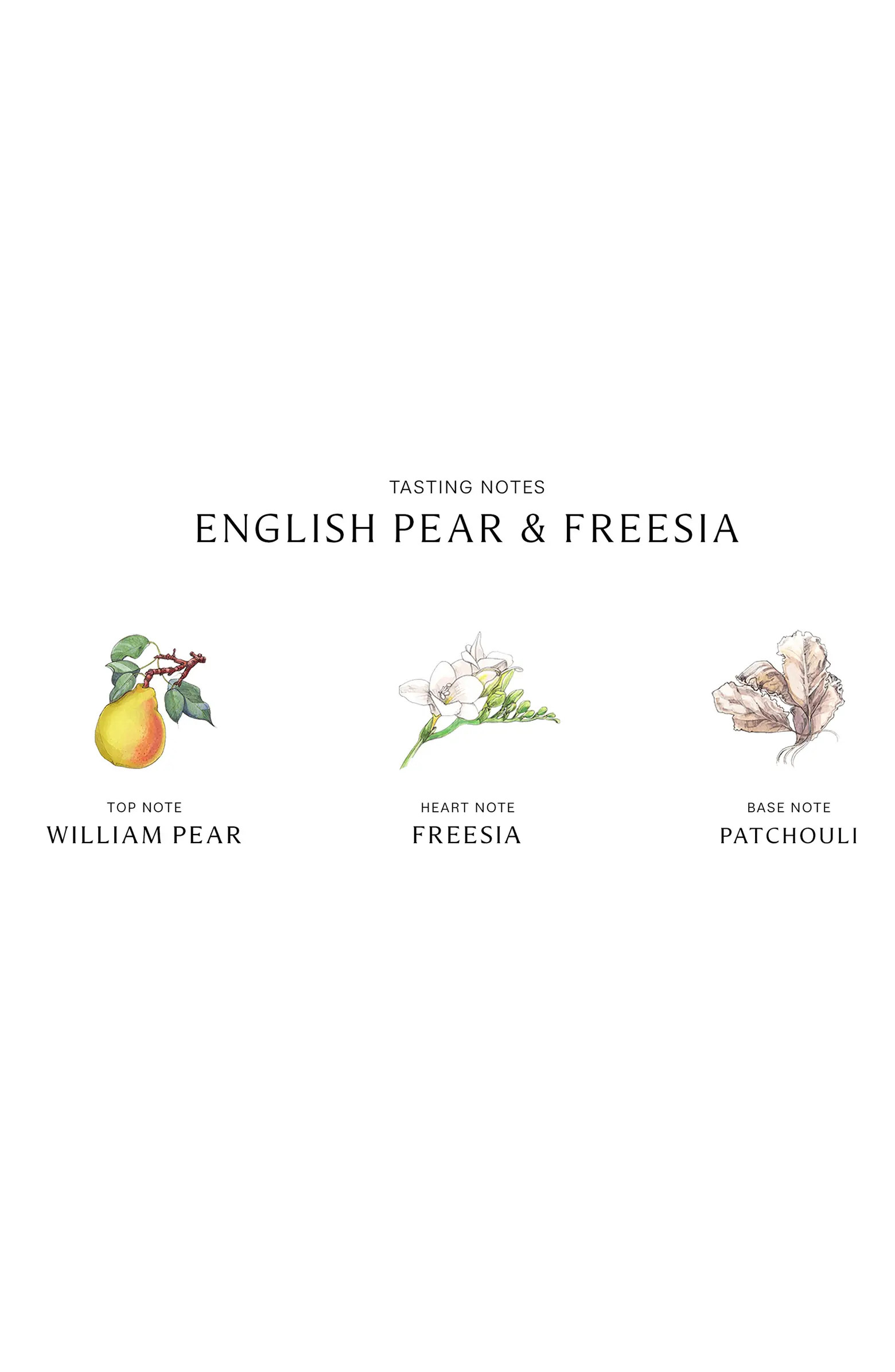 Jumbo English Pear & Freesia Body & Hand Wash USD $74 Value | Nordstrom